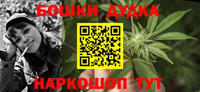 МДПВ Лесосибирск