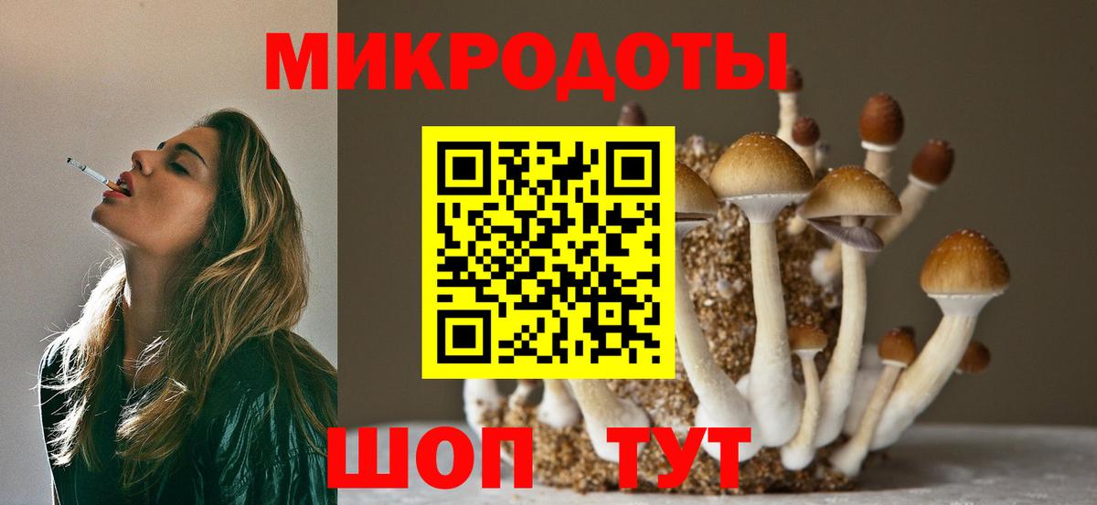 Псилоцибиновые грибы прущие грибы  Галлюциногенные грибы GOLDEN TEACHER  Вход с VPN  наркошоп  Владикавказ 