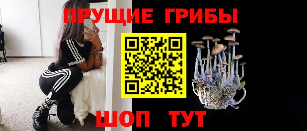 Псилоцибиновые грибы MAGIC MUSHROOMS Владикавказ